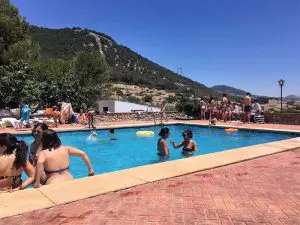 huéspedes disfrutando de la piscina en verano